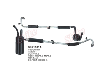 SK-71181A