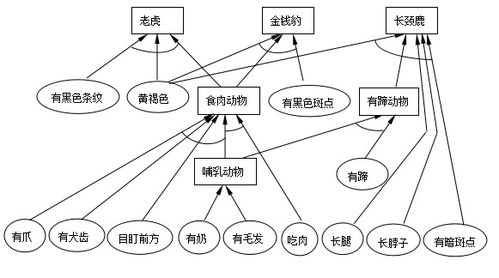 人工智能基礎軟件項目開發實踐 以動物識別產生式系統為例
